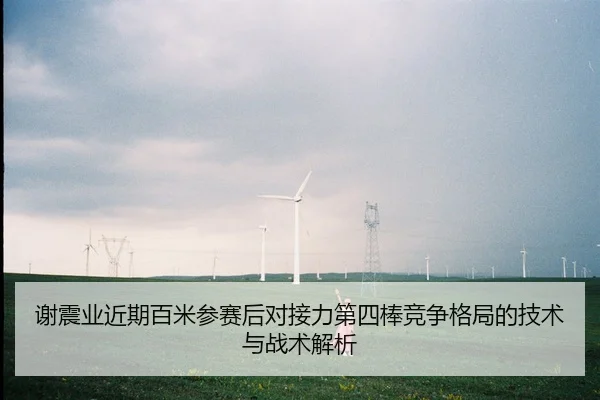谢震业近期百米参赛后对接力第四棒竞争格局的技术与战术解析